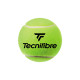 Tecnifibre Μπαλάκια Τένις Premium Competition Club Pet(3 Balls)